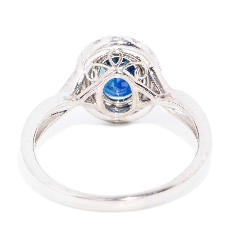 Calla Sapphire & Diamond Halo Ring 14ct White Gold